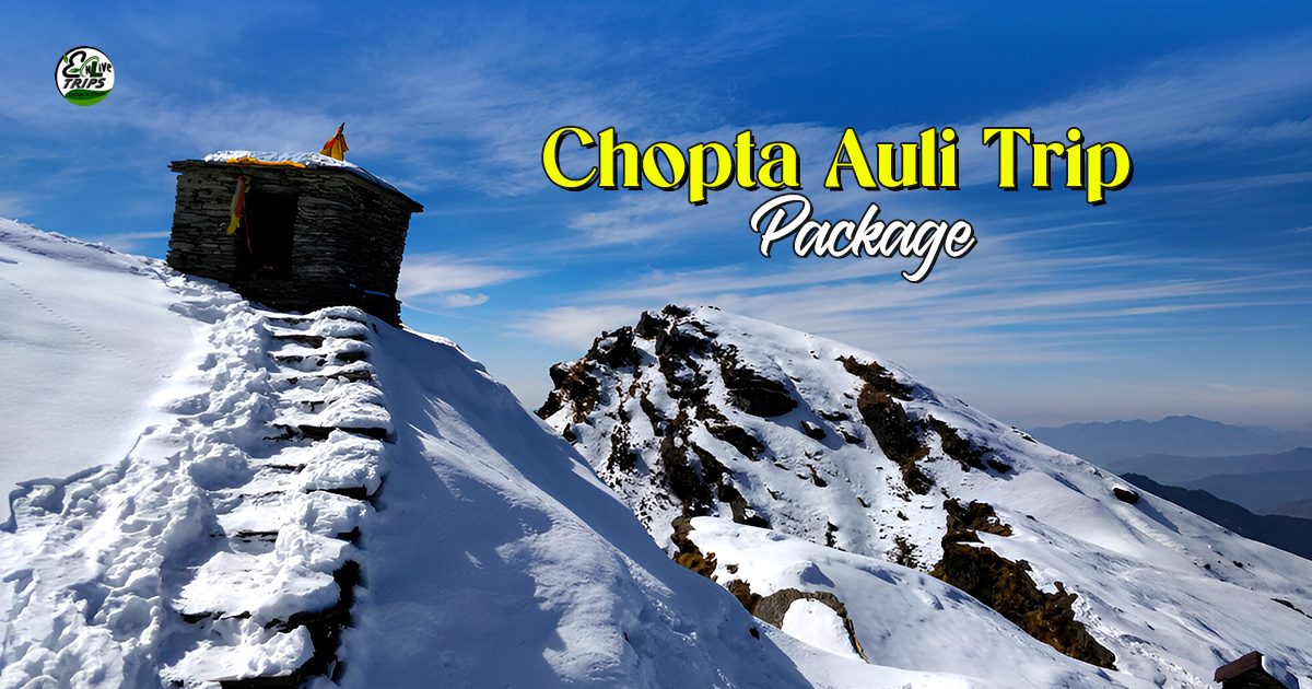 Chopta Auli Tour Package from Delhi 2026